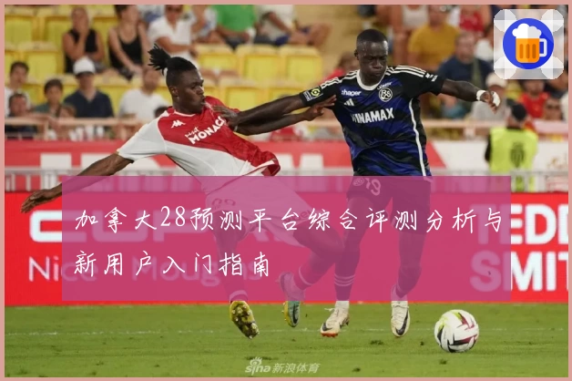 加拿大28预测平台综合评测分析与新用户入门指南