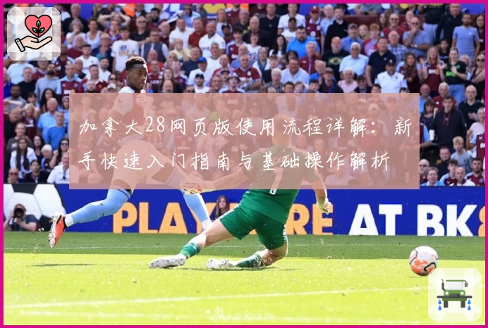 加拿大28网页版使用流程详解：新手快速入门指南与基础操作解析