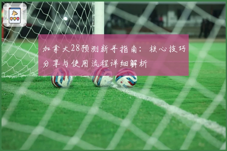 加拿大28预测新手指南：核心技巧分享与使用流程详细解析