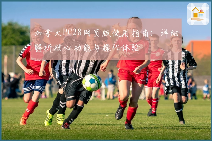 加拿大PC28网页版使用指南：详细解析核心功能与操作体验