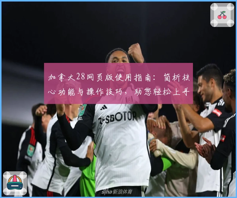 加拿大28网页版使用指南：简析核心功能与操作技巧，助您轻松上手