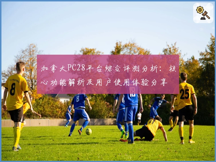 加拿大PC28平台综合评测分析:核心功能解析及用户使用体验分享