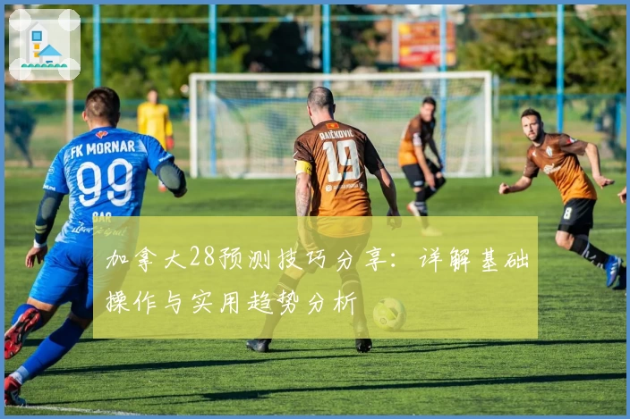 加拿大28预测技巧分享：详解基础操作与实用趋势分析