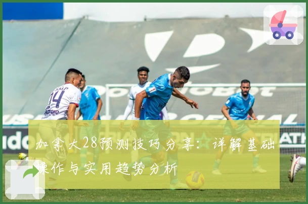 加拿大28预测技巧分享：详解基础操作与实用趋势分析