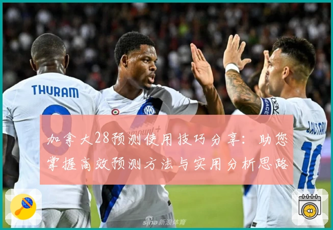 加拿大28预测使用技巧分享：助您掌握高效预测方法与实用分析思路