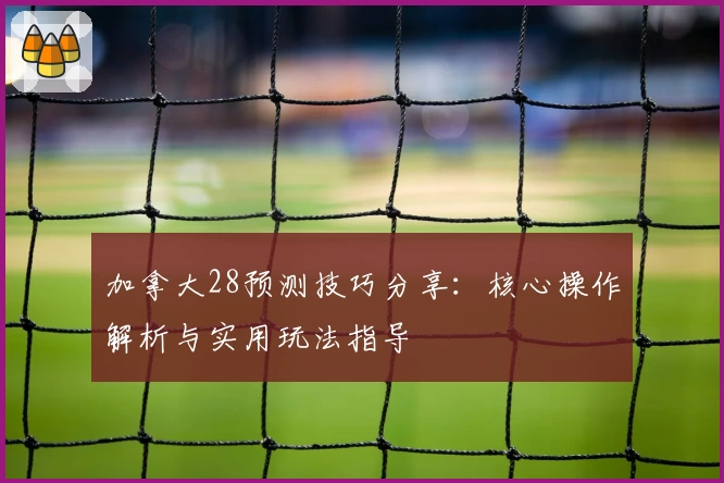 加拿大28预测技巧分享：核心操作解析与实用玩法指导
