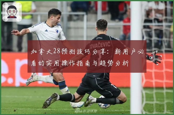 加拿大28预测技巧分享：新用户必看的实用操作指南与趋势分析