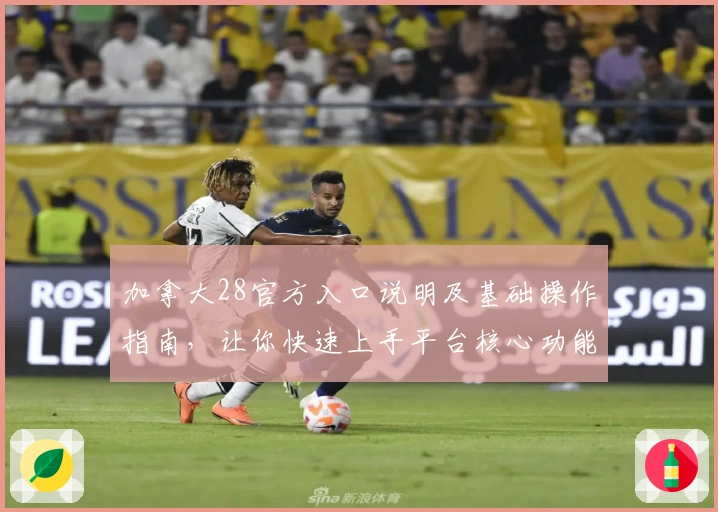 加拿大28官方入口说明及基础操作指南，让你快速上手平台核心功能