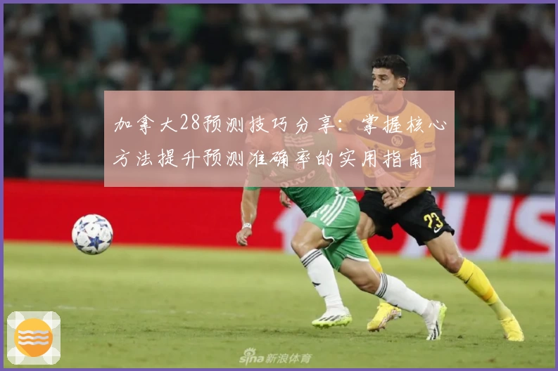加拿大28预测技巧分享：掌握核心方法提升预测准确率的实用指南