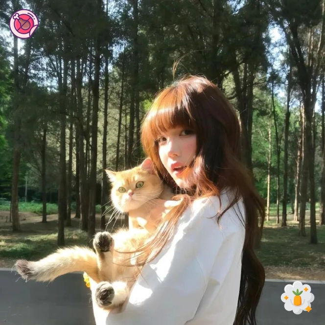 深夜不睡觉的辉